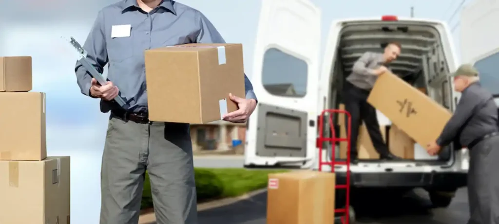 Residential removal Minto